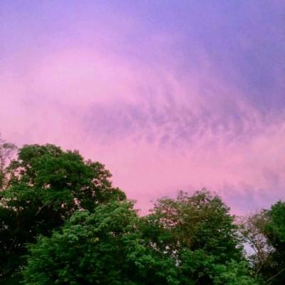 888集团电子游戏